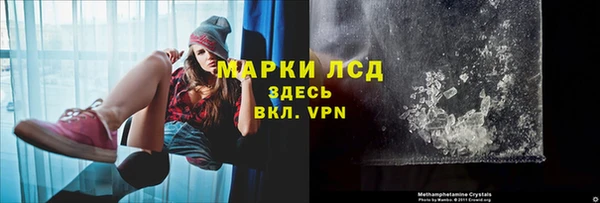 молекула духа Осташков