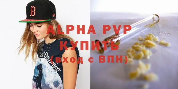 молекула духа Осташков