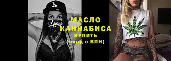 молекула духа Осташков