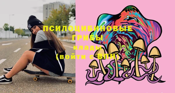 ГАЛЛЮЦИНОГЕННЫЕ ГРИБЫ Остров