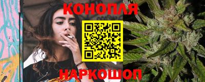 прущие грибы Пыть-Ях