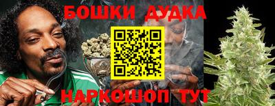 молекула духа Кудрово