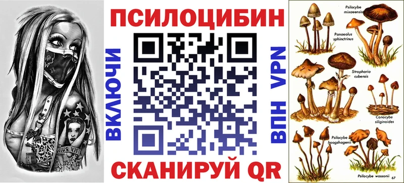 Псилоцибиновые грибы мухоморы  купить закладку  ОМГ ОМГ вход  Мурманск 