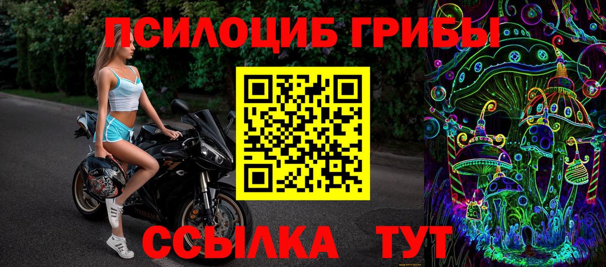 Псилоцибиновые грибы Magic Shrooms  Псилоцибиновые грибы Magic Shrooms  Мурманск  Вход с VPN 